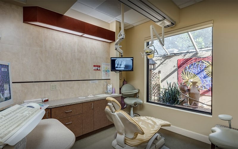A view of one of the rooms where dental exams and procedures happen and has a view of the aviary